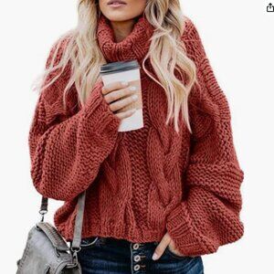 NWOT Chunky Turtleneck Sweater for Woman